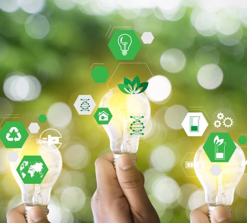 Sustainable Procurement